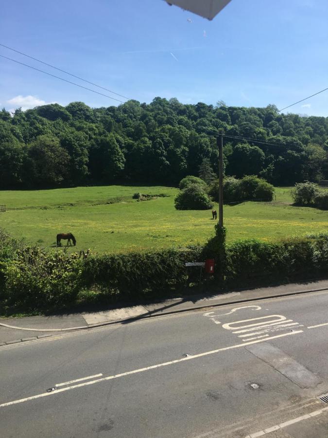 ホテル The Boathouse Wylam エクステリア 写真
